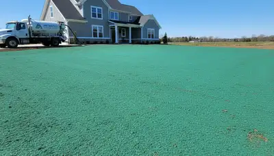 Fresh hydroseed lawn application on Arlington TX property showing even green coverage and soil prep quality