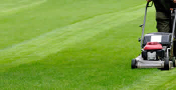 Lawn Mowing Arlington Tx Chop Chop Landscaping Arlington Tx